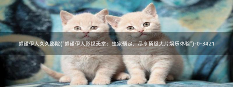 亚洲影院伊人久久应用