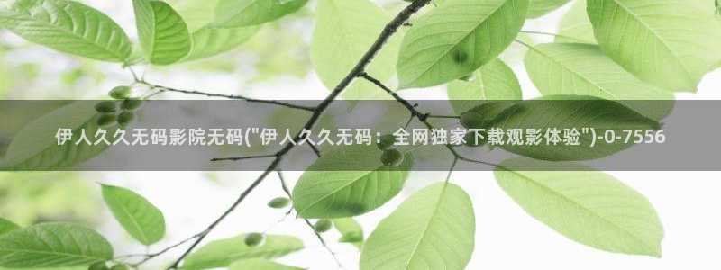 伊人久久综合综合网影院