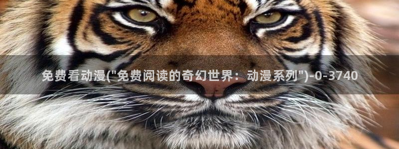 动漫游戏：免费看动漫(\